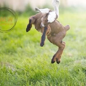 Meet your Posher, Lynn